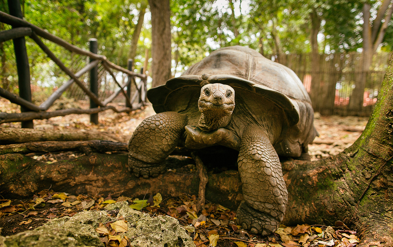 Escursione Nakupenda